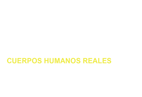 BODIES